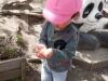 DSCF9144