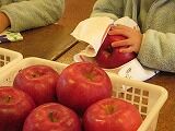 IMG_0049