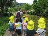 IMG_5996