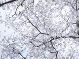 P1390407
