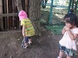DSCF8381