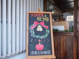 DSCF5223