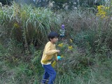 DSCN3026