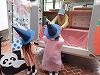 DSCF1155