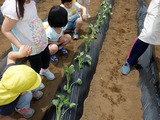 DSCF1092