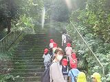 IMG_7394