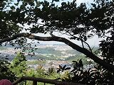 IMG_7404