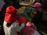 IMG_7988