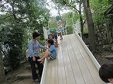 IMG_1254