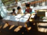 DSCN3130