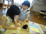 DSCN7749