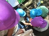 IMG_5321