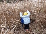 DSCF0760