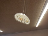 DSCF3284