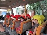 IMG_5984