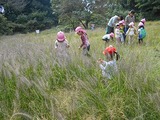 DSCN0803
