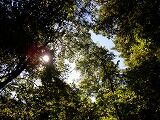 DSCF9417