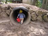 IMG_6728