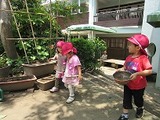 IMG_2226