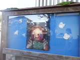 DSCF5225