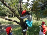 DSCN0818