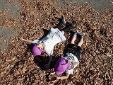 DSCF5522