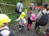 IMG_7459