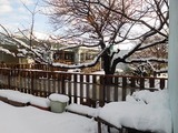 DSCN5529