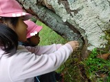 DSCN5381