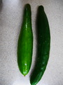P1250834