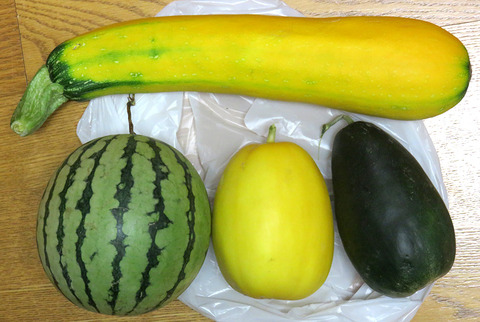 珍野菜