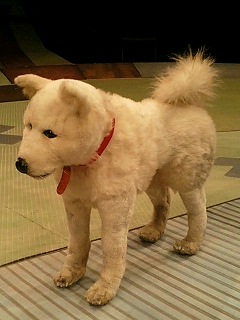 ペス ｔｒｅａｓｕｒｅ ｈｕｎｔｉｎｇ ｒｅｐｏｒｔ