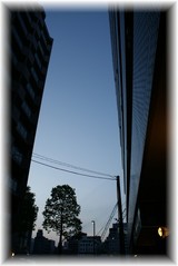 森トラスト建設現場