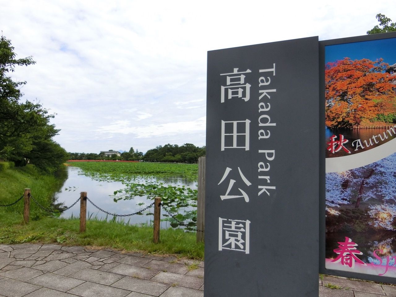 7月8日vs新潟アルビレックス 上越市高田公園野球場 近江豪勝連合活動記録 7月8日vs新潟アルビレックス 上越市高田公園野球場 近江豪勝連合活動記録
