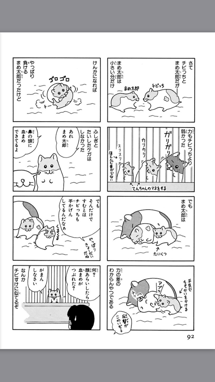 ハムスターの研究レポートとかいう漫画知ってる奴いる なんでもおまとめ ハムスターの研究レポートとかいう漫画知ってる奴いる なんでもおまとめ