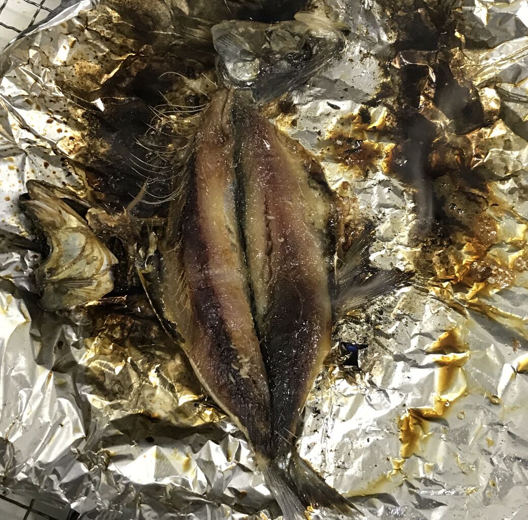 注意 ワイの失敗したイワシの干物にうじ虫が湧くwwwwwwwwwwwwwwwww ワイは見た速報 注意 ワイの失敗したイワシの干物にうじ虫が湧くwwwwwwwwwwwwwwwww ワイは見た速報