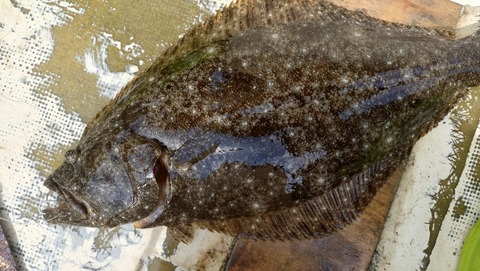 20240923_095026380~2