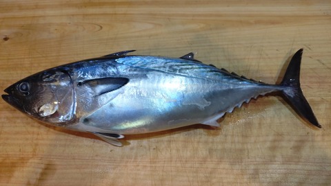 20240924_170700571~2