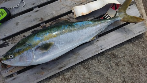 20240923_131046713~2