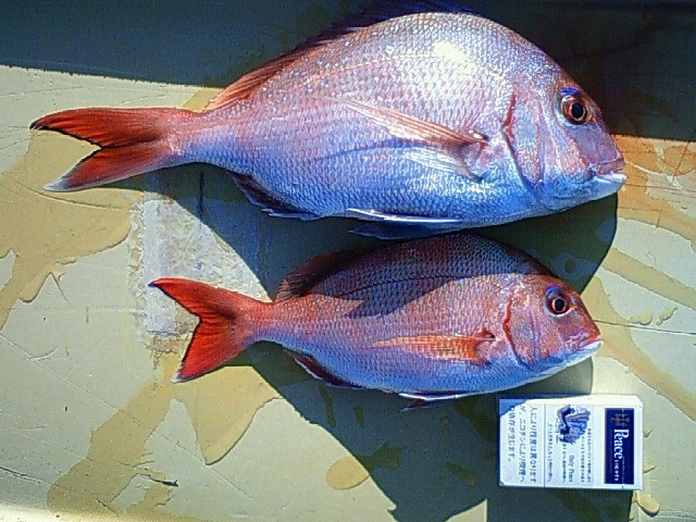 ea140dd8.jpg