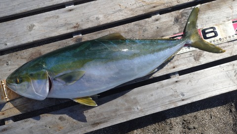 20240923_141821493~2