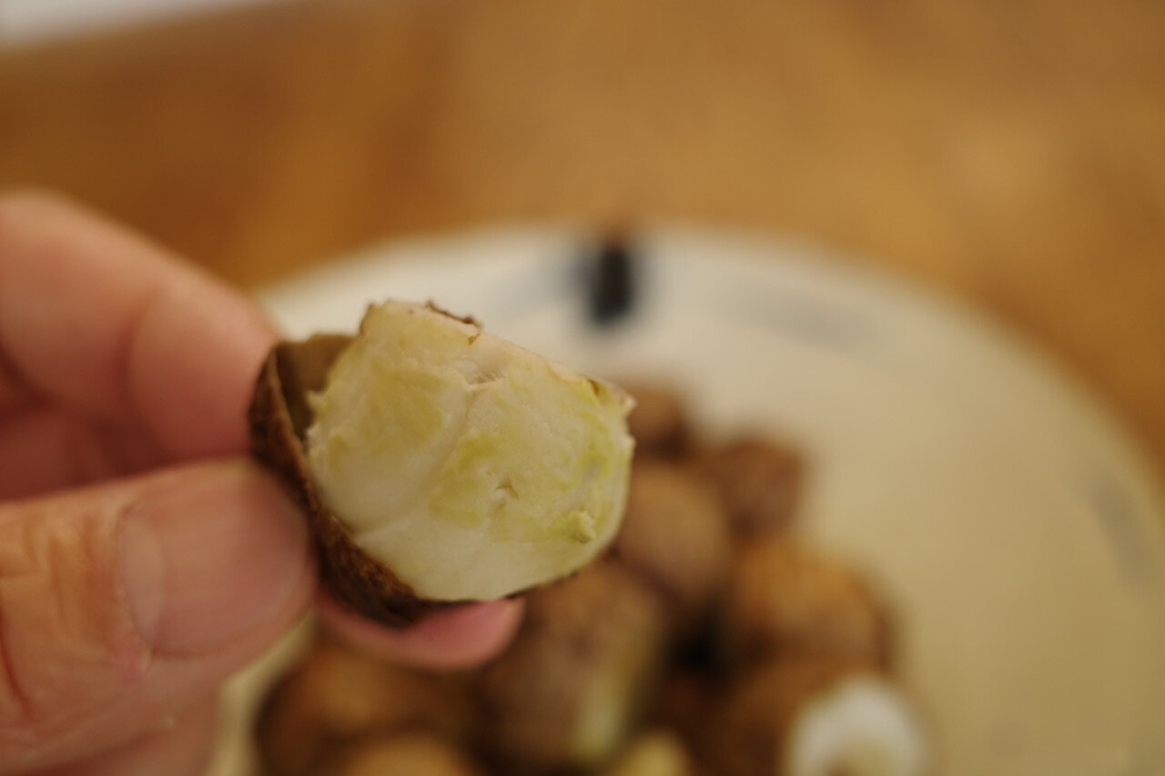 きぬかつぎ は里芋のまご芋 蒸してちょんと塩を付けてパク おやじ厨房に入る
