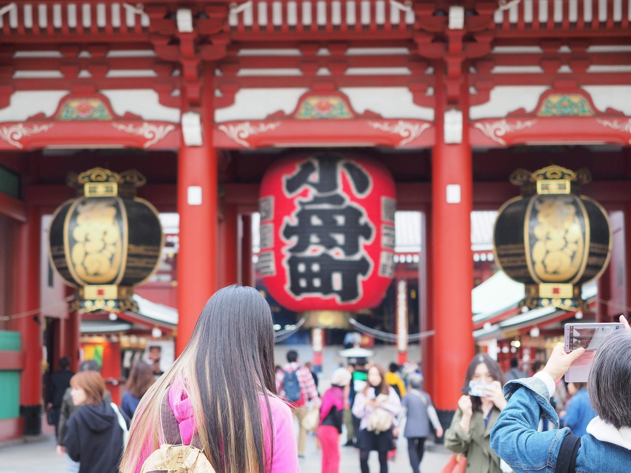 早朝散歩は久し振りに浅草 秋田犬に遭遇 おやじ厨房に入る