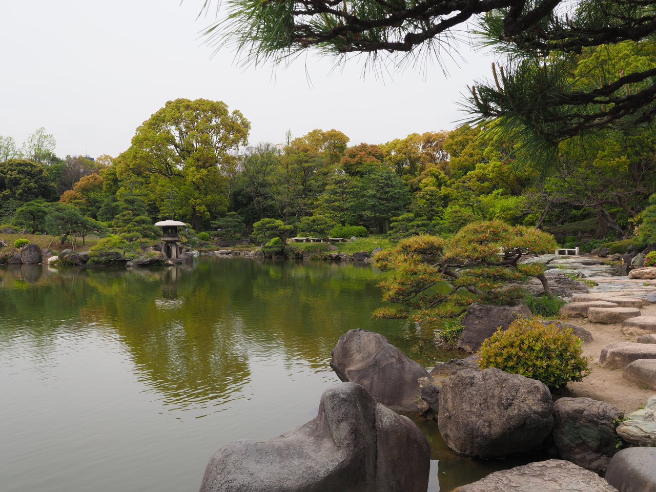 東京散歩 清澄庭園で八重の桜 おやじ厨房に入る
