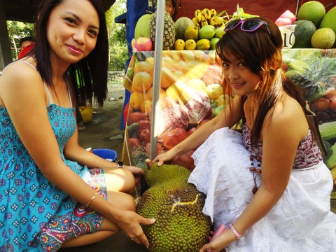 fruits5