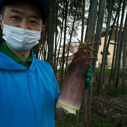 343747681_744678010534578_7710757665497565219_n