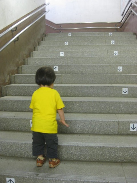 step01