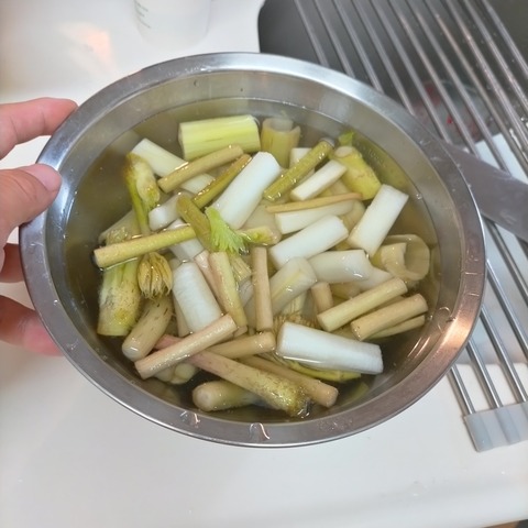 344380731_788644226299834_3413793796115327642_n