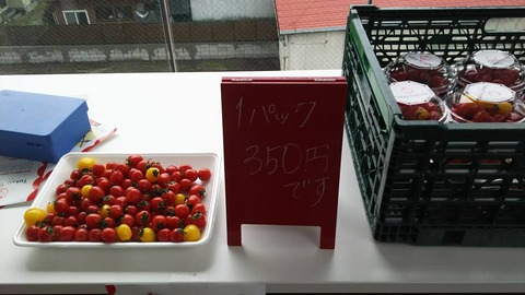 58443620_2207517492662192_2546911972985667584_n