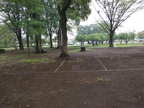 62075499_2277097619037512_5714088318107385856_n